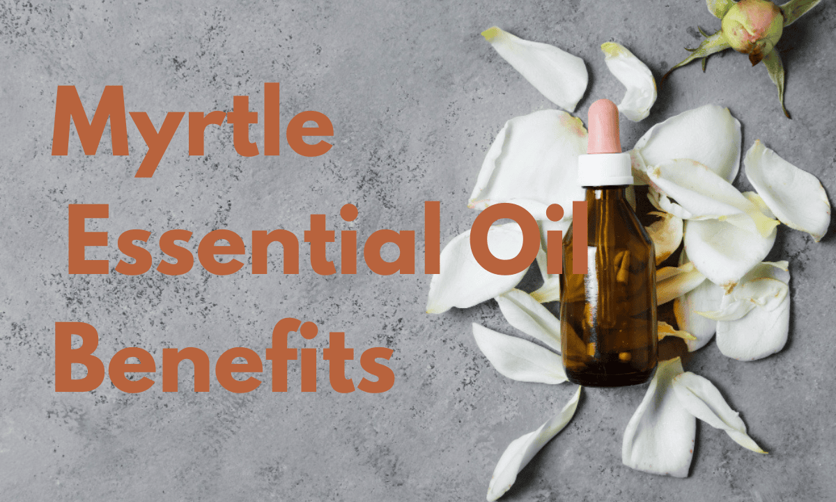 Benefits Of Myrtle Essential Oil: + Health Uses